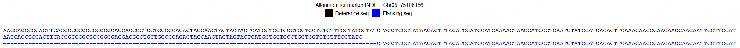 Sequence alignment