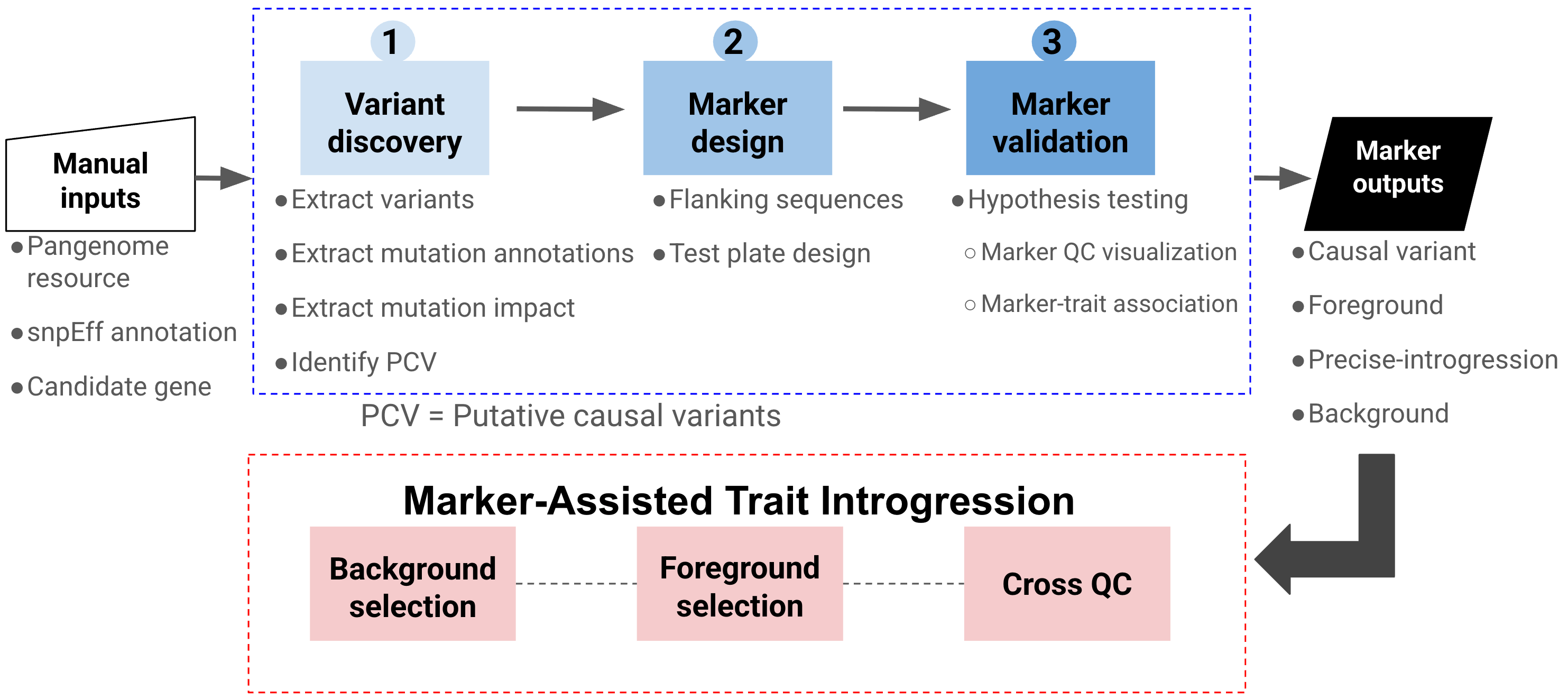 panGenomeBreedr marker design workflow